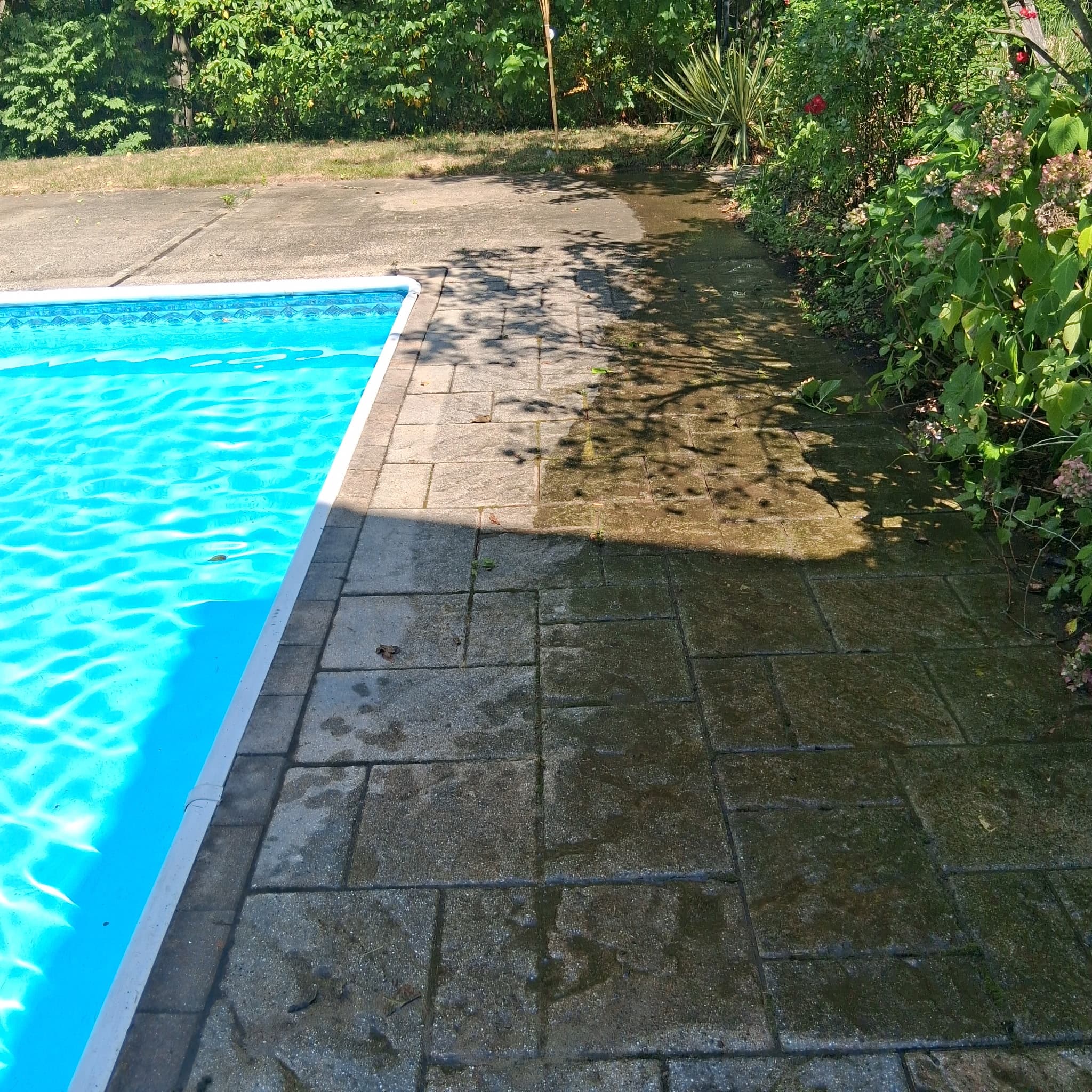 Pool Deck before