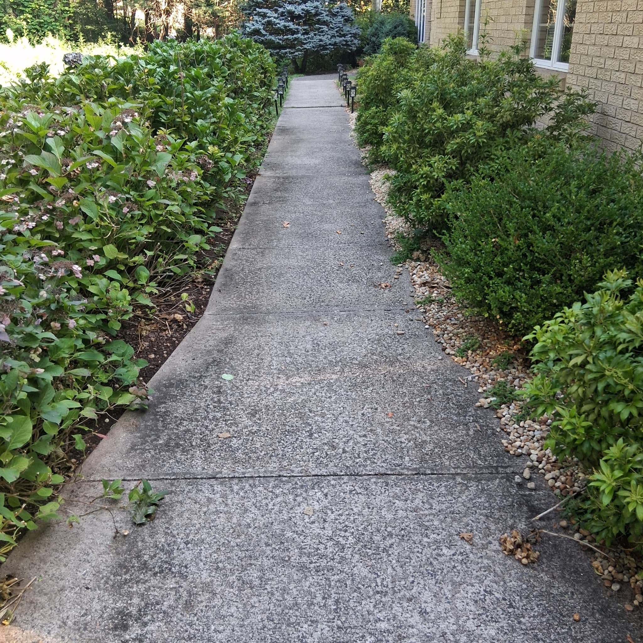Thru Clean CT - Professional power washing